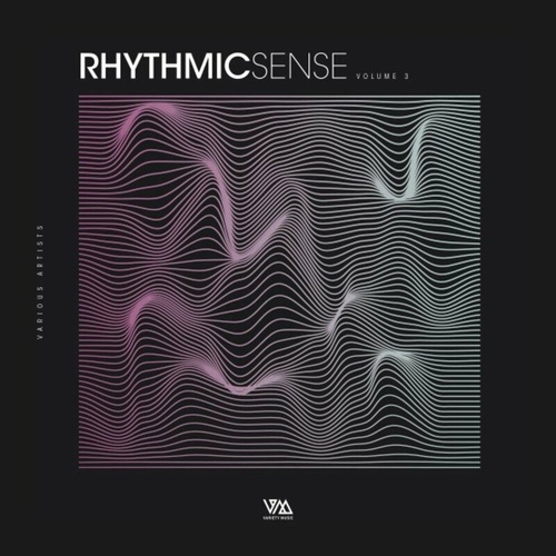 VA - Rhythmic Sense, Vol. 3 [VMCOMP884]